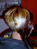 /album/fotogalerie/img-4548-jpg/